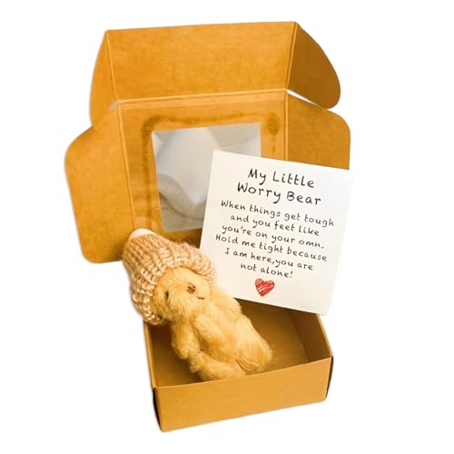 GONZTEL 1 pieza Osito En Caja, Osito De Peluche En Caja, Pequeño Oso de Bolsillo, Mini Oso De Peluche con Tarjeta Inspiradora para Regalos Motivacionales For Niños Parejas Y Amigos