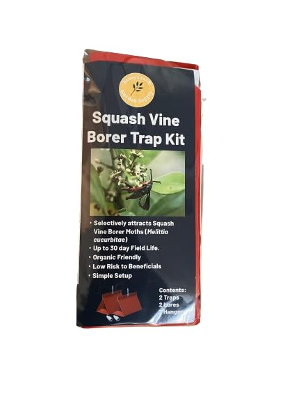 Baileys Squash Vine Borer Trap Kit 2-Pack