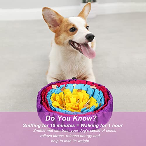 Vivifying schnüffelteppich für Hunde, Interaktives Schnüffelteppich Hund, Waschbar Intelligenzspielzeug für kleine und mittelgroße Hunde (Gelb, Blau & Rosérot)