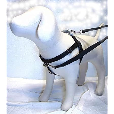 freedom no pull harness amazon