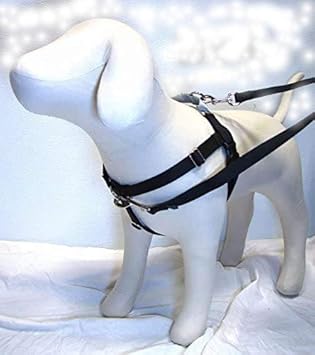 freedom dog harness amazon