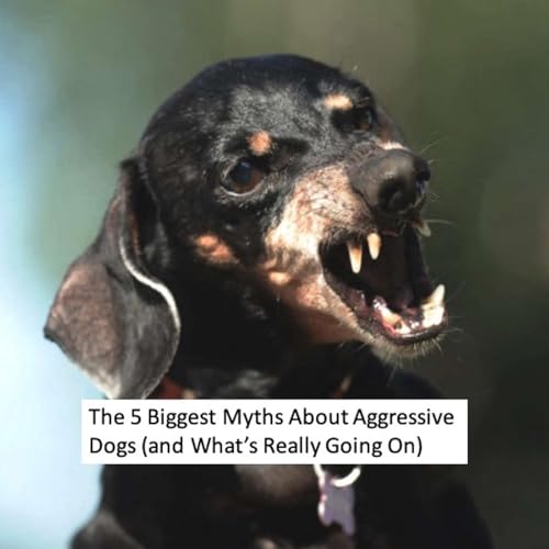 The 5 Biggest Myths About Aggressive Dogs (and What&rsquo;s Really Going On) Podcast Por  arte de portada