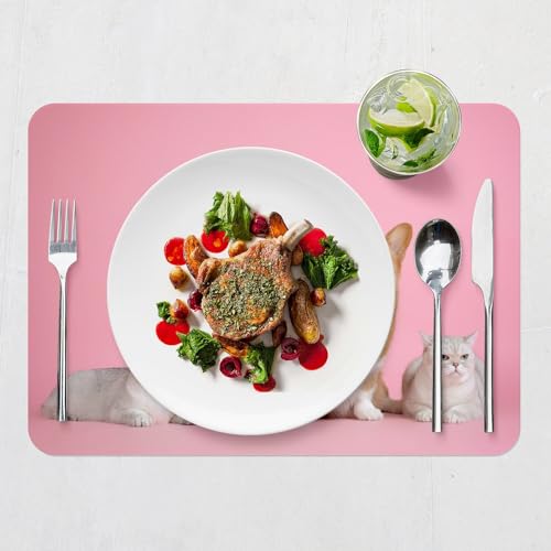 Set de table liège chat chien napperon souple grand format dessous table animaux - 7