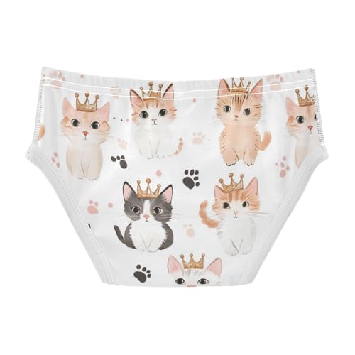 Wusikd Cats Boys' Underwear Cotton Crown Paws Boys Briefs Soft Toddler Underwear 2T2