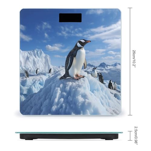 Báscula digital de baño BWQJKUO con pantalla LCD 400 lb miniatura 2