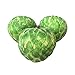 Fake Fruit Custard Apple, Sugar Apple Pack of 3