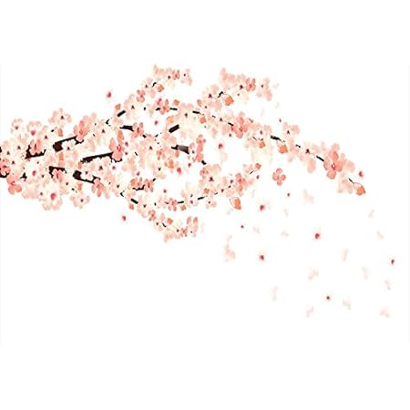 Amazon ウォールステッカー 飾り 60 60cm シール式 装飾 おしゃれ 壁紙 はがせる 剥がせる カッティングシート Wall Sticker 雑貨 ガラス 窓 Diy プチリフォーム パーティー イベント 賃貸 桜 花 春 Wsm 0132 Ds ウォールステッカー オンライン通販
