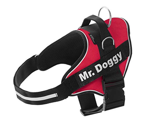 Arnés Personalizado para Perros - Reflectante - Incluye 2 Etiquetas con Nombre - Todos los Tamaños - De Calidad y Resistente (S 7,5-15KG, Rojo)
