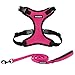Voyager Step-in Lock Dog Harness and Reflective Dog Leash Combo Set with Neoprene Handle 5ft Long - Supports Small, Medium and Large Breed Puppies/ Cats - Fuchsia Black Trim (w Leash), XL