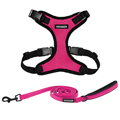 Image of Best Pet Supplies Voyager Step-in Lock Pet Harness w Reflective Pet Leash Combo Set with Neoprene Handle 5ft - Supports Small, Medium and Large Breed Puppies /Cats - Fuchsia /Black Trim Set, L