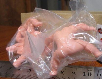 LPV14 CoX^[ y[IW  L}S tBMA L