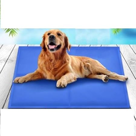 Lifestyle-You? Premium Pet Dog Puppies Cooling Summer Mat Bed (Size Large:36 inches x 20 inches) (Large)