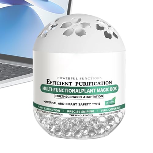 Accessoires de purification naturels d'air pour la maison avec base végétale - 2