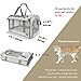 GAPZER Pet Carrier for Large Cat Soft-Sided Animal Traveling Bag for Medium Cat up to 20lbs / Washable Small Dog Puppy 10 lbs Crate Case with Privacy Curtains for Home Outdoor Travel Beige White