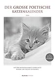 Der große poetische Katzenkalender 2020 - Literarischer Bildkalender A3 (30 x 42) - mit Zitaten - schwarz-weiß - Tierkalender