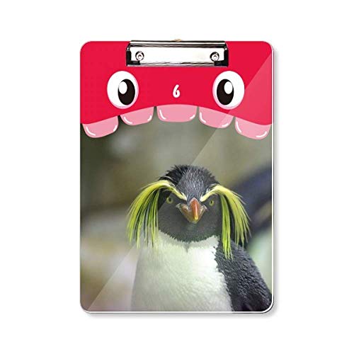 Porte-bloc A4 pingouin pour prendre vos notes en classe ou en sortie naturaliste