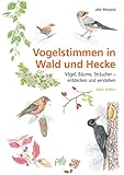 entdecken und verstehen 3 arbeitsheft lösungen  Vogelstimmen in Wald und Hecke: Vögel, Bäume, Sträucher - entdecken und verstehen