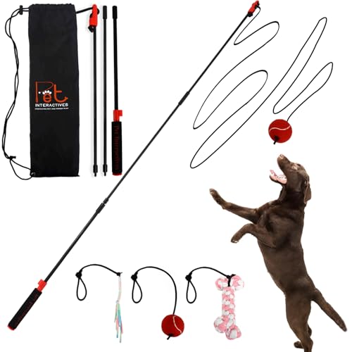PET Wrangler 2.0 - Upgraded Flirt Pole for Dogs Interactive Dog Toy with Reinforced 50 Pole &10ft Cord Creates Extended Play Area 3 Changeable Lures for Training Exercise & Enrichment