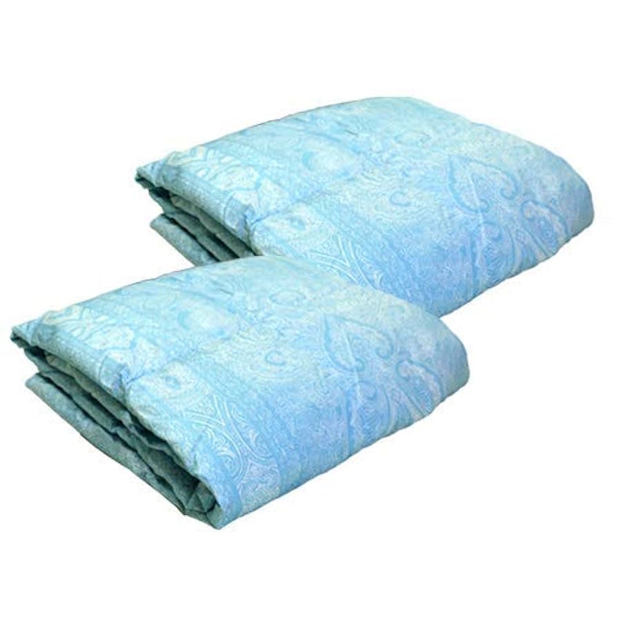 Amazon | 【2枚組】 昭和西川 羽毛肌掛けふとん ダウンケット