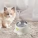 Leefasy Tilted Cat Feeder Bowl Food Dispenser Living Room Home Travel Indoor Watering Feeding Dish Cat Food Bowl for Pets Small Dogs, White