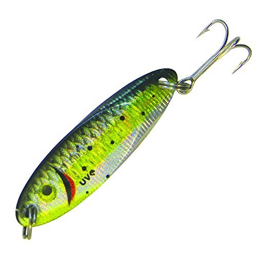 AcmeAcme Sw Kastmaster Baitfish Bait