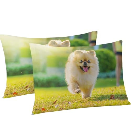 Housse de couette 200x200 fermeture éclair parure de lit microfibre douce - 5