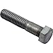 Pentair U30-77SS Sta-Rite 0.37-16 x 1.75" Screw