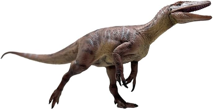 Megaraptor (Duan Jing Zhu)
