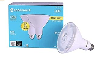 UPC 693690567306 product image for EcoSmart 120W Equivalent Bright White PAR38 Dimmable LED Flood Light Bulb (2-Pac | upcitemdb.com