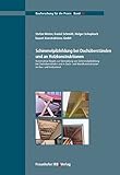  Schimmelpilzbildung bei Dachüberständen und an Holzkonstruktionen.: Konstruktive Regeln zur Vermeidung von Schimmelpilzbildung bei Dachüberständen und ... und Endzustand. (Bauforschung für die Praxis)
