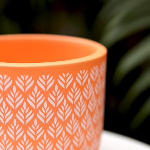 Image of Urban Plant Orange Charm Virasat Terracotta Pot with Drainage Hole (5 Inch) | Hand-Painted Decorative Clay Planter | Breathable Indoor Plant Pot for Healthy Growth