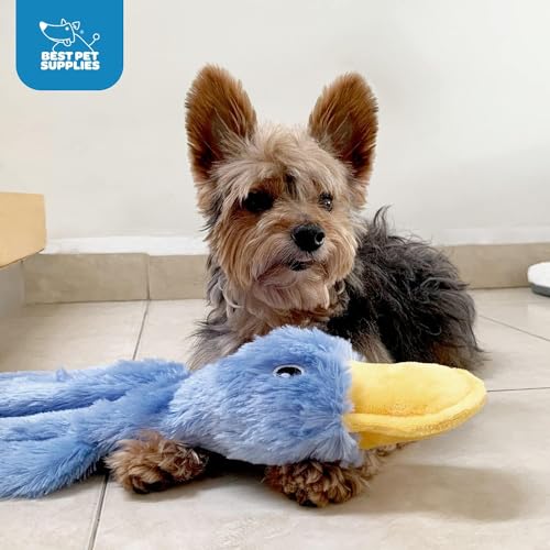 Image of Best Pet Supplies Interactive Squeaky Dog Chew Toy, Ideal Dog Toys for Chewers, Small, Medium & Large Dogs, and Fetch Lovers - Crinkle Duck (Yellow, Blue, Pink), Large