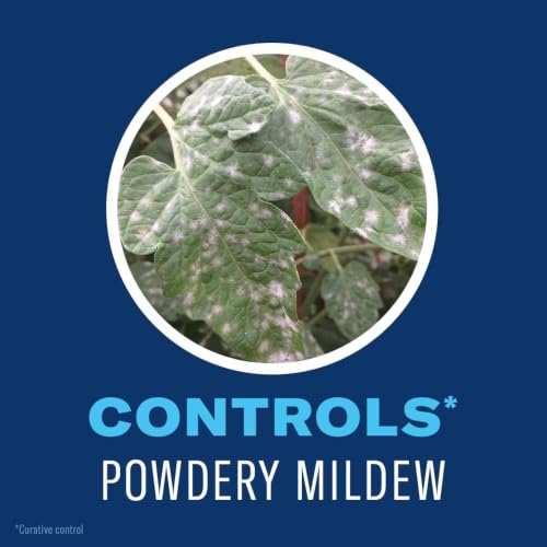 Image of BioAdvanced Organics Brand Tomato, Vegetable & Fruit Insect Control - 24 oz | Ready-to-Use - Kills Listed Insects on Contact - Disease Control - For Edible Gardening