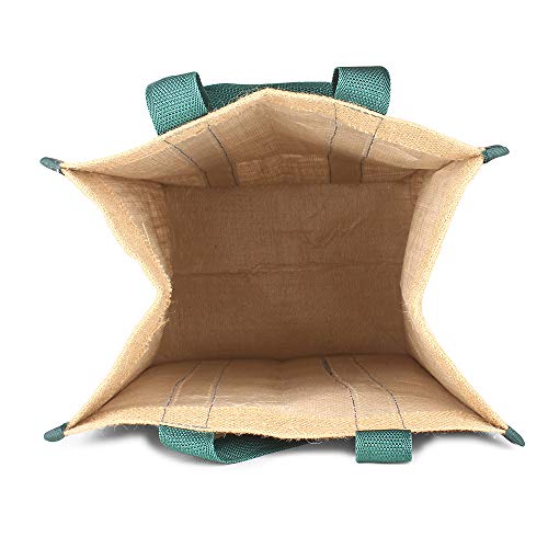 Image of DOUBLE R BAGS Unisex-Adult Laminated Jute Reusable Casual Shopping Bags Kitchen Essentials Grocery Vegetable Lunch Carry Bag With Full Handles Multi-Purpose Bag Stylish Designs (Green) Pack Of 1