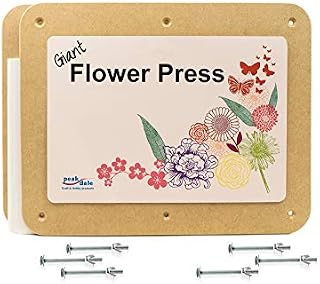 Peakdale Flower Press, Spring Giant 29cm x 36cm Rectangular Wooden Flower Press