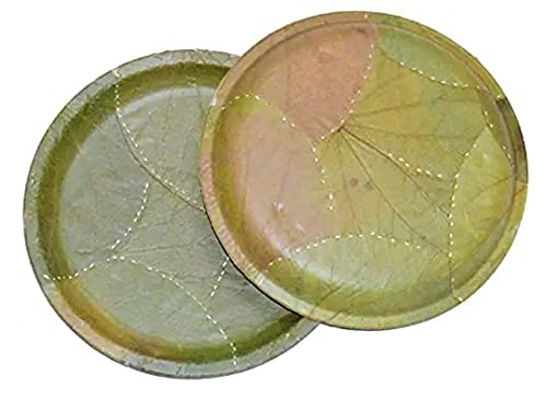 Natural Leaf Bowls Patravali Pattal Vistaraku Vistar Khali Sal Leaf Plates 50Pcs from Orissa for Prasadam | Brown