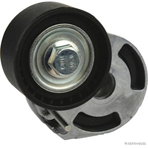 HERTH + BUSS Jako Parts j1143070 – Polea tensora, correa trapezoidal en V múltiple