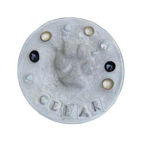 DIY Paw Print Stepping Stone Kit, Pet Memorial Stone, Pet Garden Stone (8 Inch)