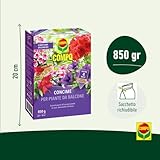 Compo B0BJQPQQGY lato 3