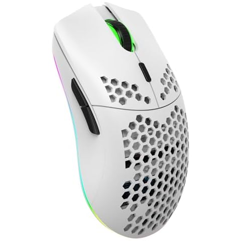 Souris Gamer Zienstar sans Fil Cover