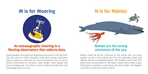 ABCs of Oceanography: Learn about Sea Creatures, Marine Biology, and More with this Essential Ocean Board Book from the #1 Science Author for Kids (Baby University) - Image 8