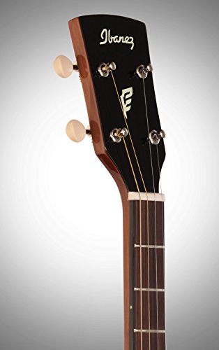 Ibanez 4 String Pft2Nt Tenor Acoustic Guitar, Natural Gloss #TOP5