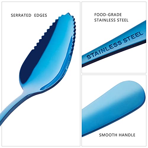 Lauon Serrated Grapefruit Spoons,Stainless Steel, Long Handle,Suitable for Citrus, Kiwi,Desserts,Set of 6 (blue)