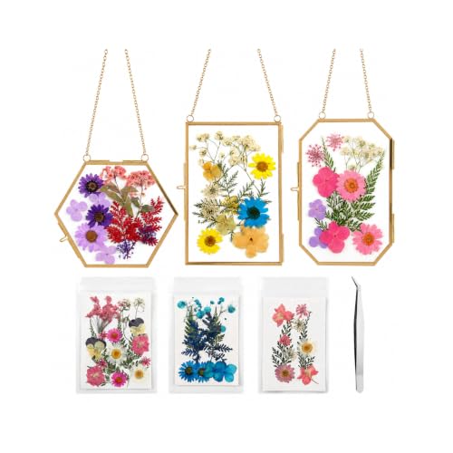 Lujechii 3 Pcs Double Glass Pressed Flower Frame Clear Brass Embossed