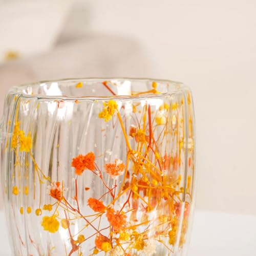 Image of Nestasia Double Wall Glass Mug with Dried Flowers Set of 2 (350ml Each) - Transparent Borosilicate Floral Glass Tea Cups | Lightweight & Durable Coffee Mugs - Perfect for Gifting (Yellow & Orange)