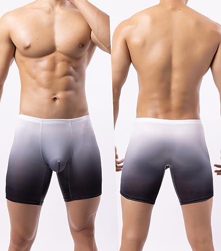 WINDAY Men's Briefs Gradient Color Ice Silk Sports-Inspired Underwear Boxer Briefs N23052
