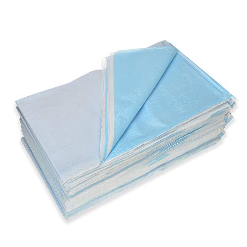 Image of Dealmed Disposable Stretcher Sheets 50 Count, Blue, 40 inch x 72 inch, Ideal for Stretchers, Exam Tables, and Other Furniture