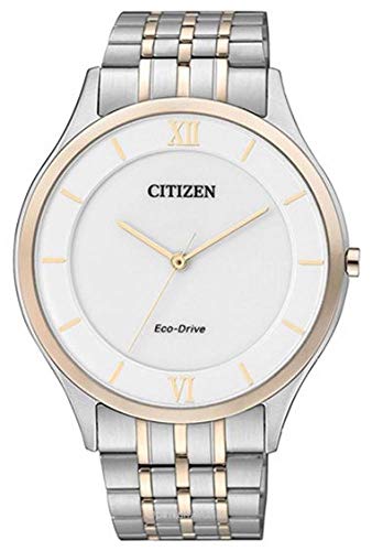 Citizen 3628