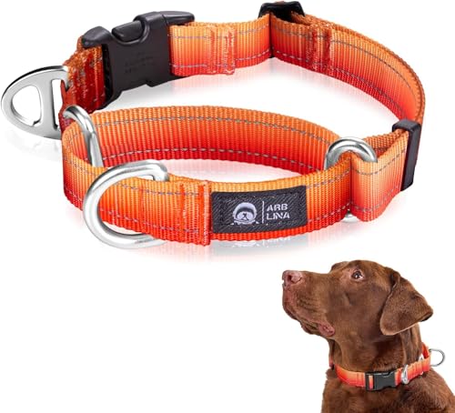Arblina Collare per Cani Martingala, Collare Riflettente per Cani di Taglia Grande, Media e Piccola, Collare Semistrozzo Cane in Nylon per Whippet, Levrieri, Saluki, Bullo Americano, Arancione, S