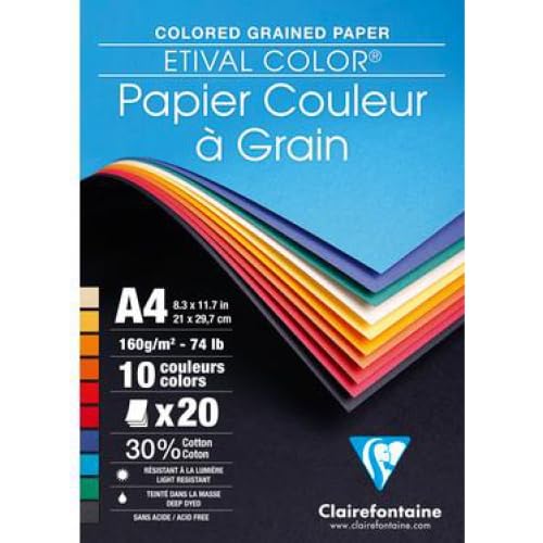 Lotto di 5 fogli di carta Etival Color, 160 g/m², formato A4, colori assortiti